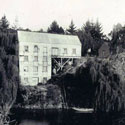 Hally's Flour Mill - 1877